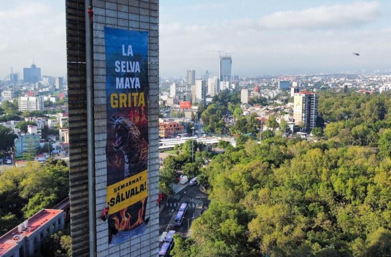 1048830_Protesta-Greenpeace-La-Selva-Grita_impreso